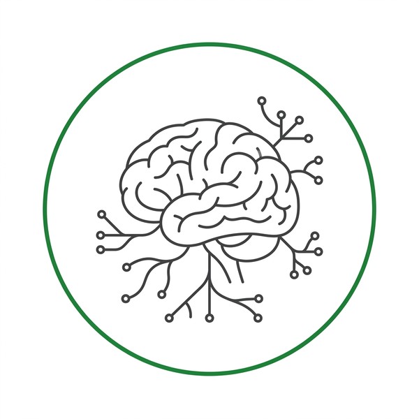 Нервная система